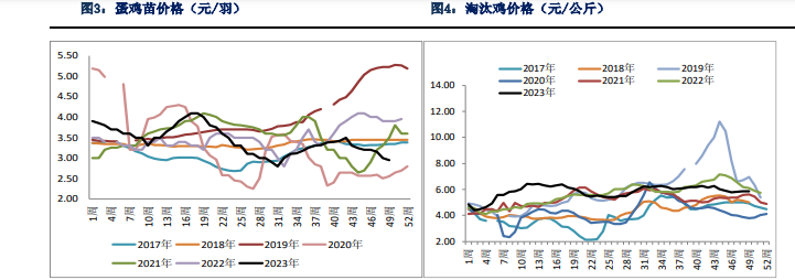 （2024年1月16日）今日玉米期货和美玉米最新价格查询