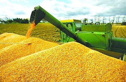 玉米期货1月25日主力小幅上涨0.13% 收报2347.0元