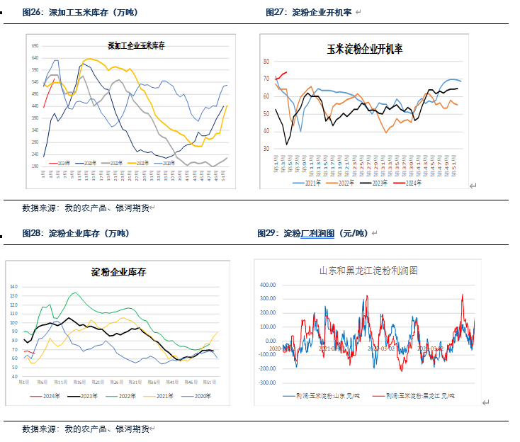 （2024年2月4日）今日玉米期货和美玉米最新价格查询