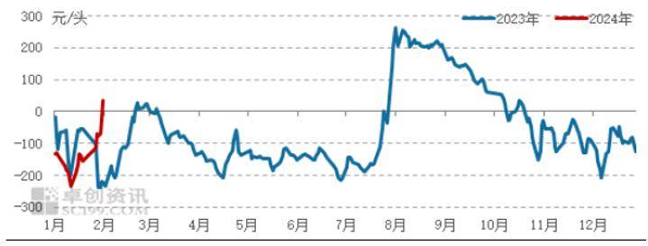 （2024年2月7日）今日美玉米期货最新价格行情查询