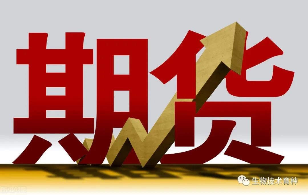 玉米期货2月7日主力小幅上涨0.12% 收报2407.0元