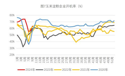 （2024年3月6日）今日玉米期货和美玉米最新价格查询
