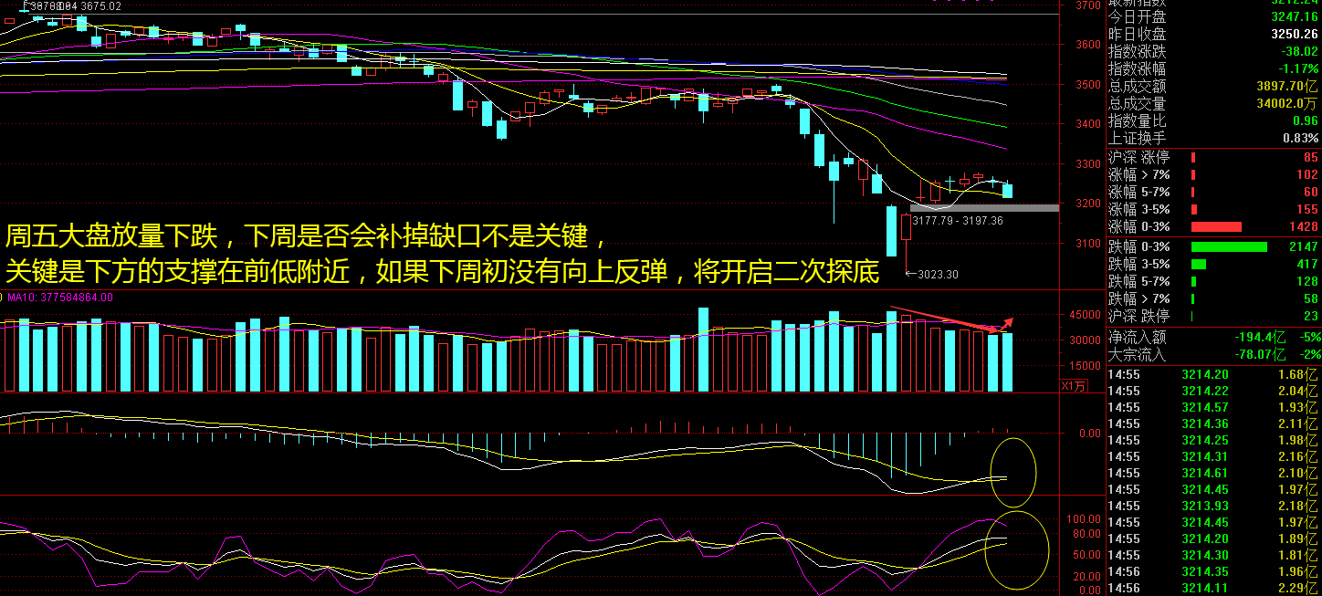 3月13日收盘玉米期货资金流出44.00万元