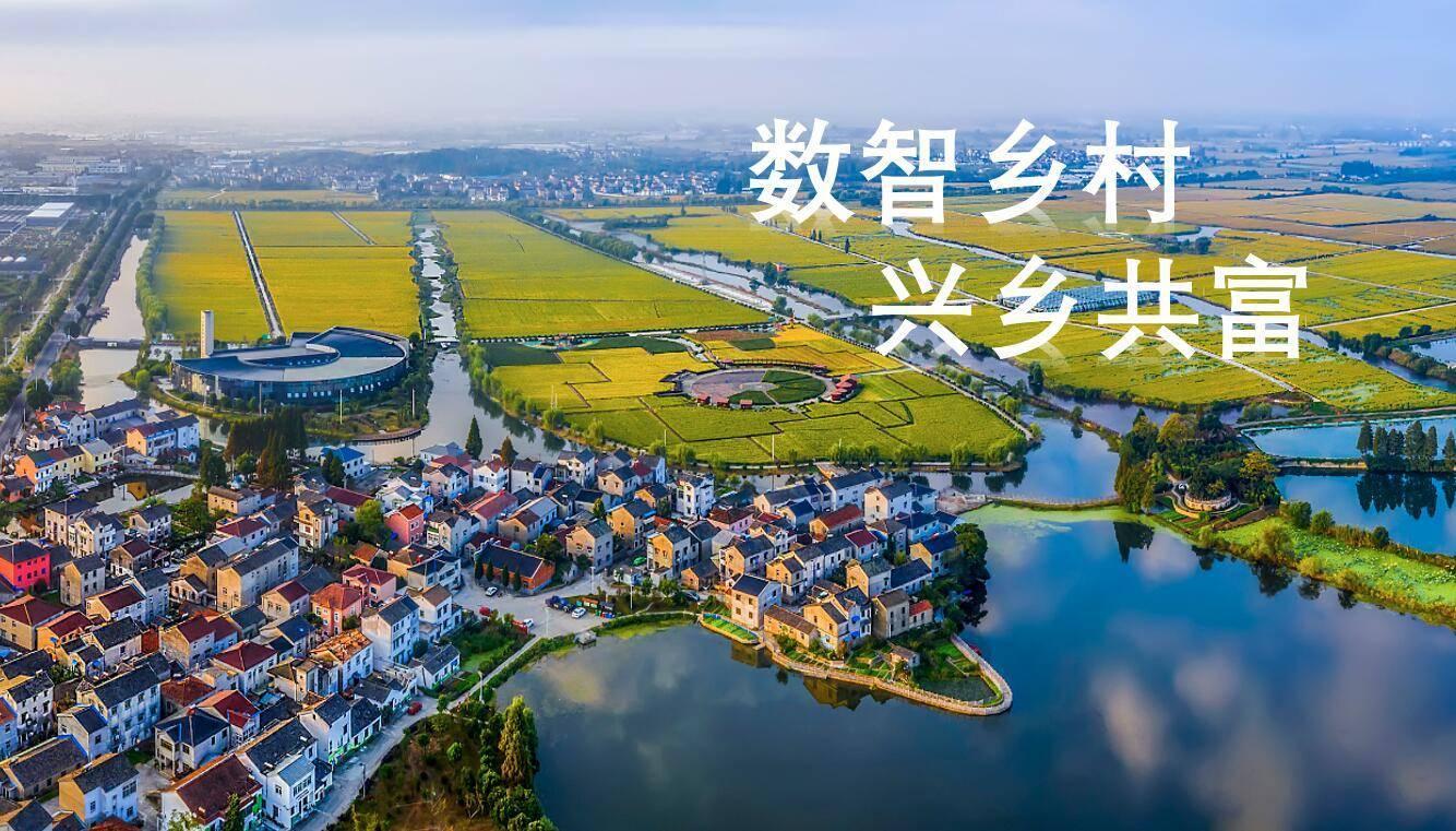 商务部：培育多元化新型农村电商主体 提高产业化水平