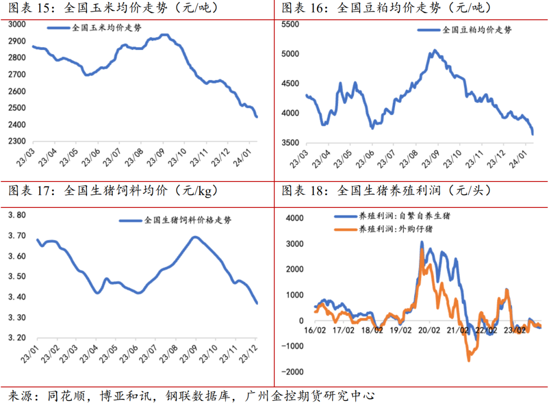 （2024年3月15日）今日玉米期货和美玉米最新价格查询