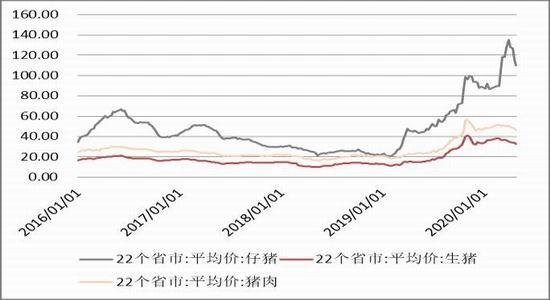 国内需求端生猪价格低迷 玉米市场预计震荡运行