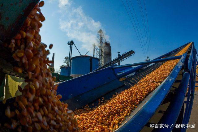 港口贸易商压价收购 玉米或进入弱势震荡局面