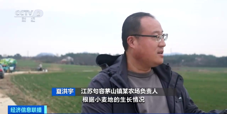 玉米期货最新消息 春耕准备工作将展开