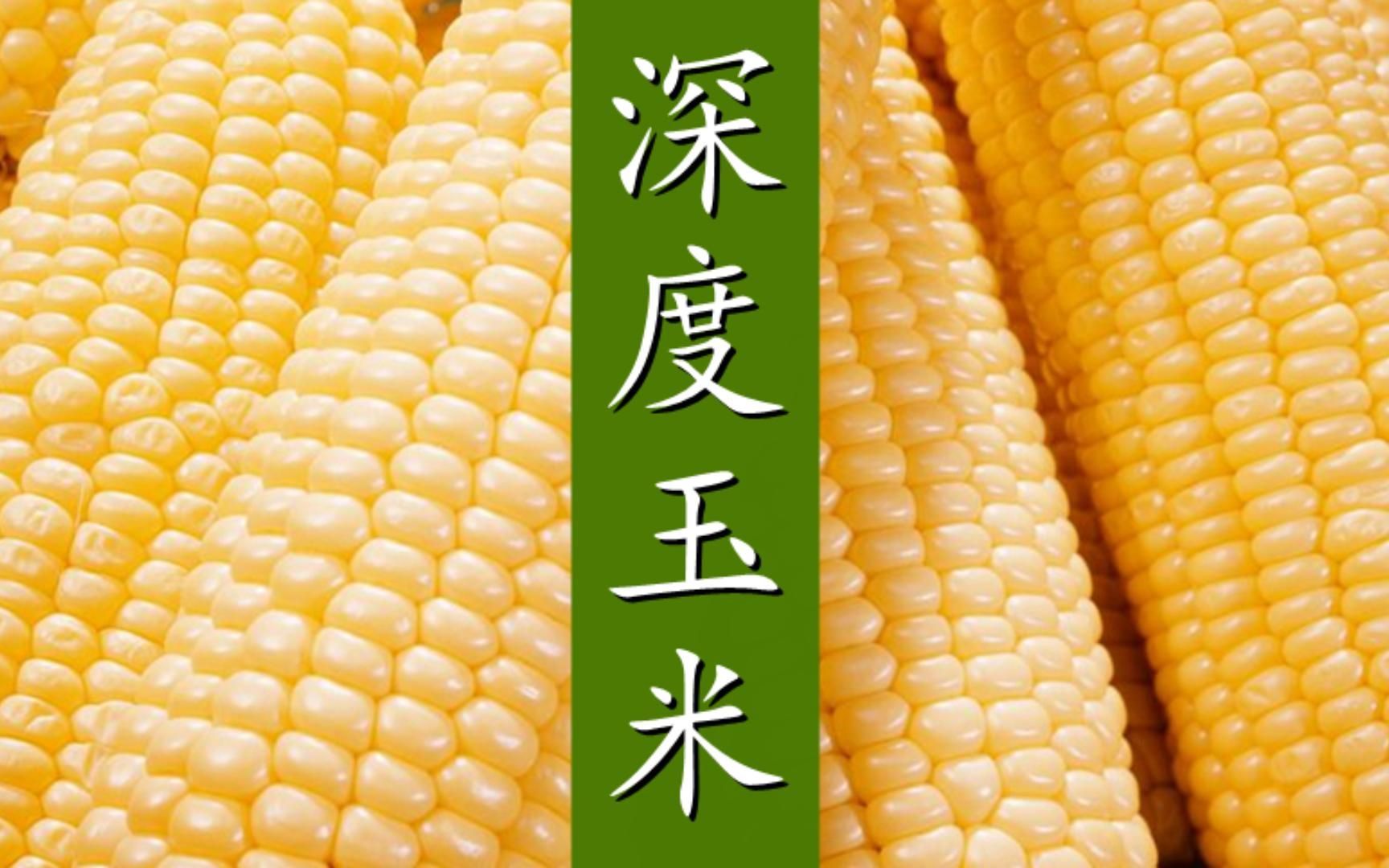 3月26日玉米期货持仓龙虎榜分析：玉米主力处于净多头状态