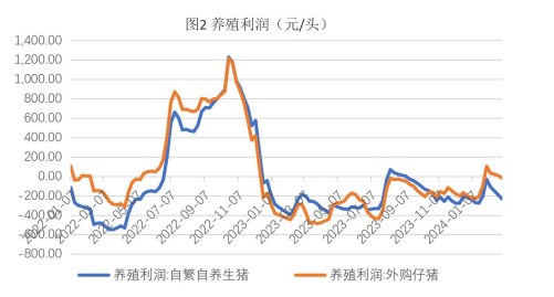 （2024年4月2日）今日美玉米期货最新价格行情查询