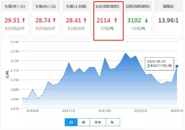 下游养殖利润向好叠加政策影响 玉米期价震荡偏强运行