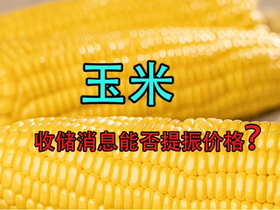 （2024年4月11日）今日玉米期货和美玉米最新价格查询