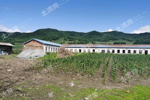 农业农村部：多措并举加快高标准农田建设进度