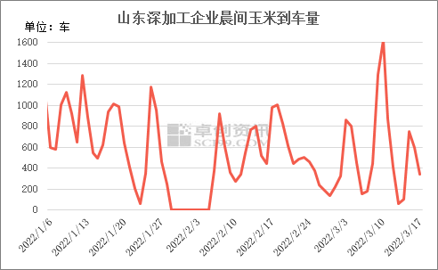 受各地粮库收购影响 玉米价格维持震荡运行