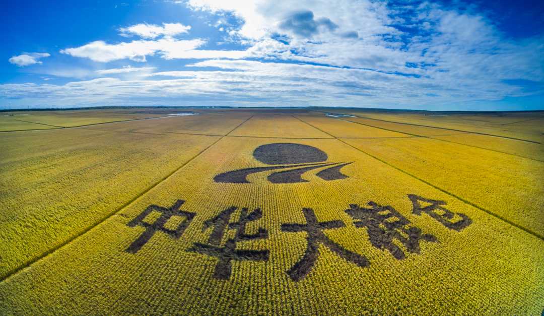 黑龙江：提高粮食综合生产能力 当好国家粮食安全“压舱石”