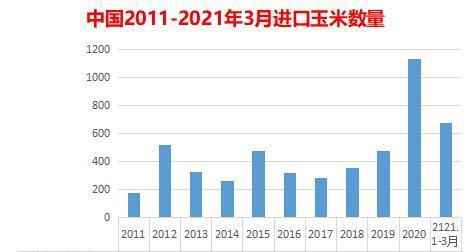 养殖下游消耗低价进口谷物为主 玉米或进入震荡局面