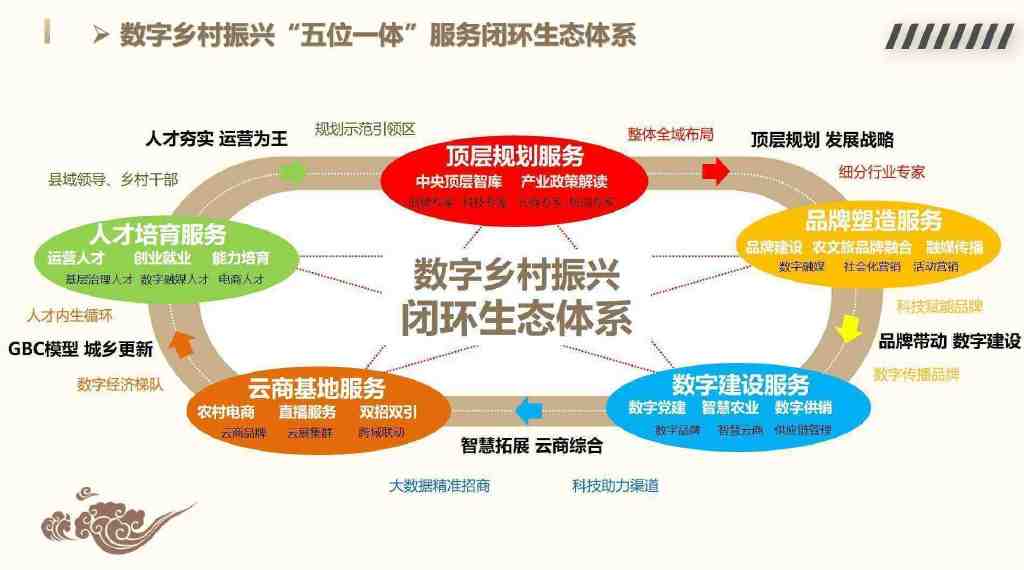 报告：数字经济以多种形式助力乡村振兴