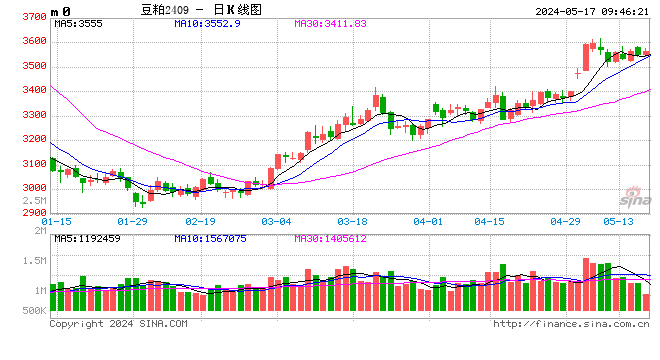 （2024年5月17日）今日玉米期货和美玉米最新价格查询