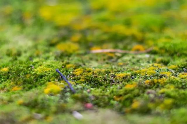 向新而行 智造未来 中央企业驶上“绿色快车道”