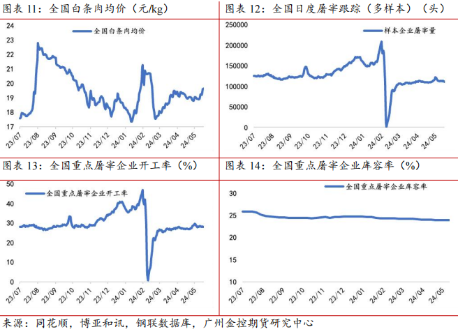 （2024年5月23日）今日玉米期货和美玉米最新价格查询