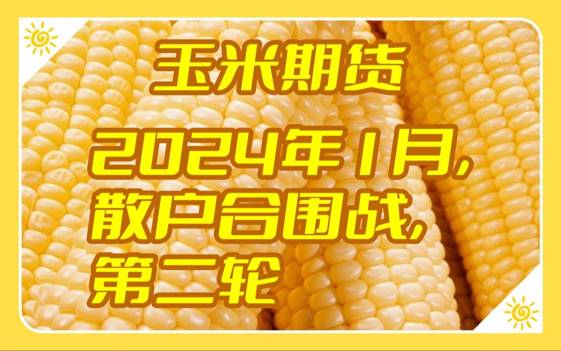 （2024年6月6日）今日玉米期货和美玉米最新价格查询