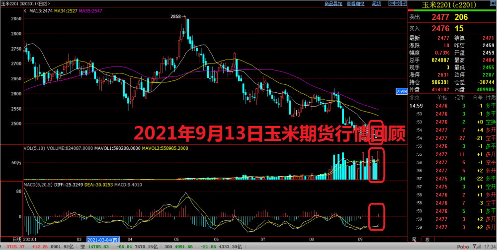 6月14日玉米期货持仓龙虎榜分析：玉米主力处于净空头状态