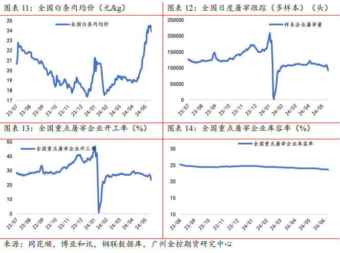 （2024年6月21日）今日玉米期货和美玉米最新价格查询