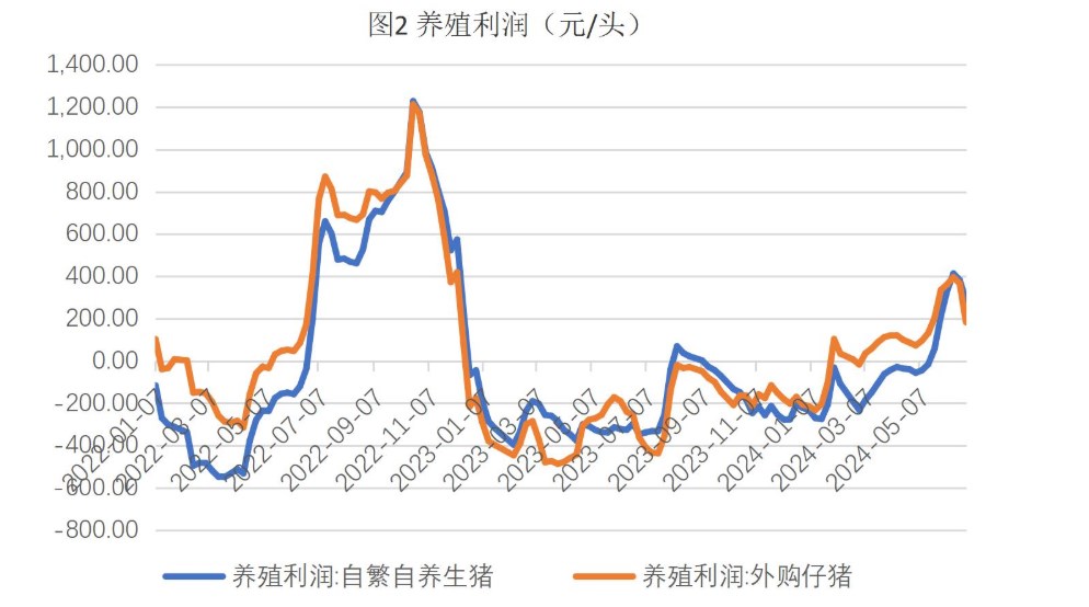 美玉米压力高于预期 国内玉米或继续偏弱波动