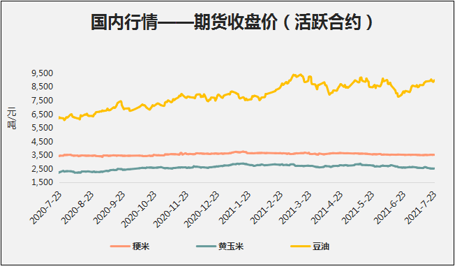 (2024年7月15日)今日玉米期货和美玉米最新价格查询