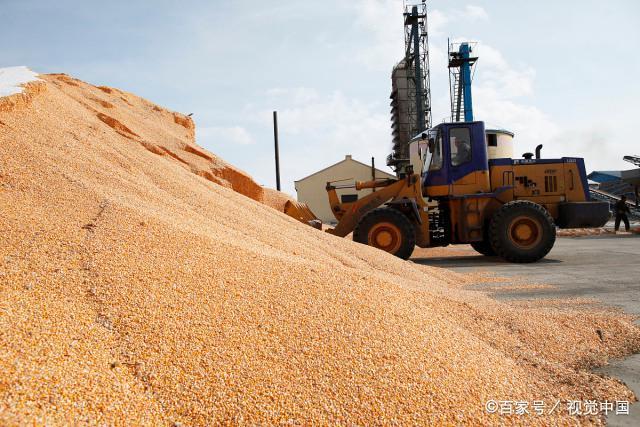 深加工企业加工亏损 玉米价格或再次低位调整