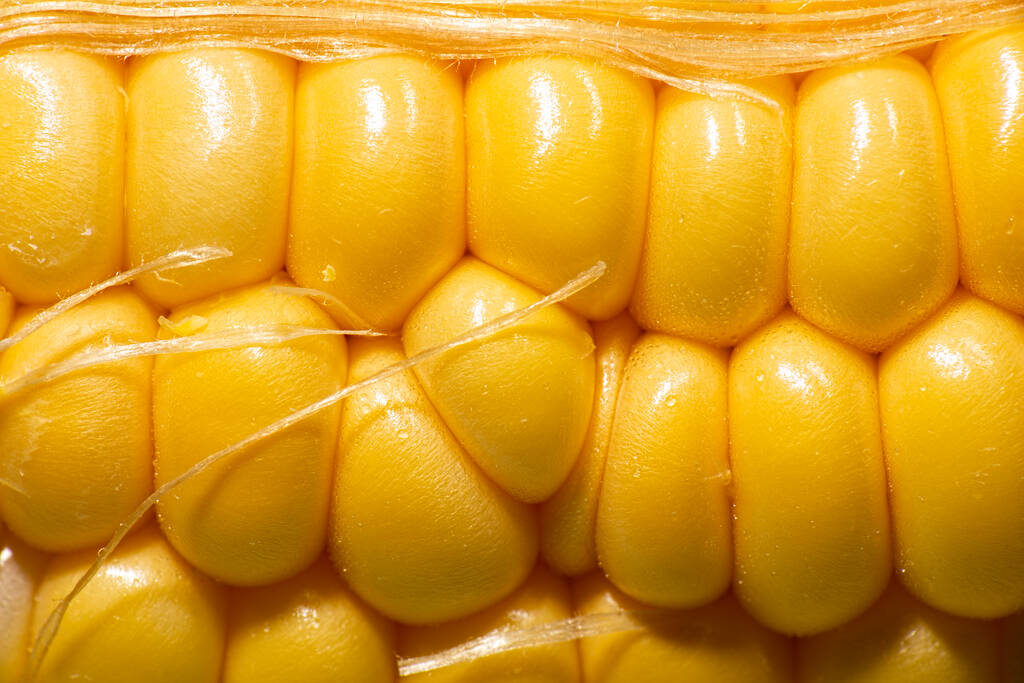 玉米期货8月9日主力小幅上涨1.53% 收报2319.0元