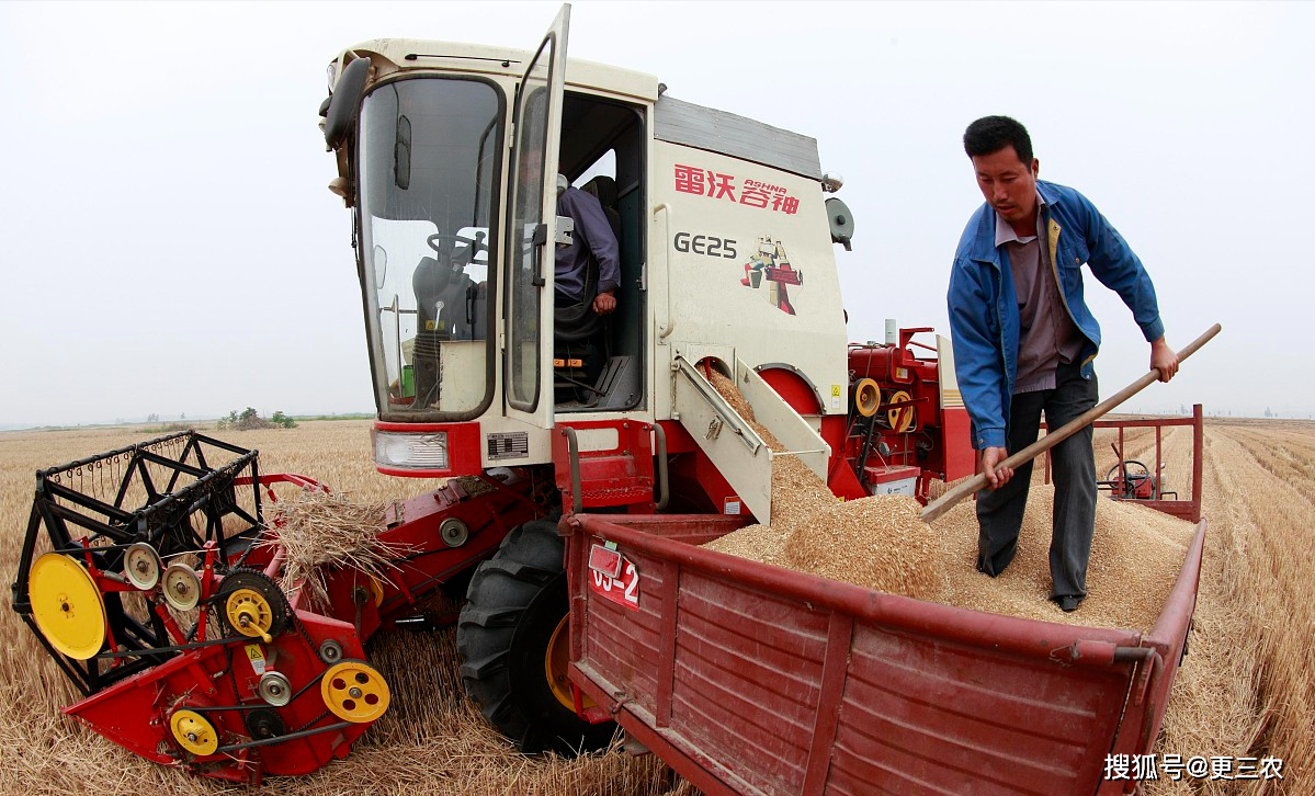 深加工企业进入季节检修 玉米多维持滚动补库