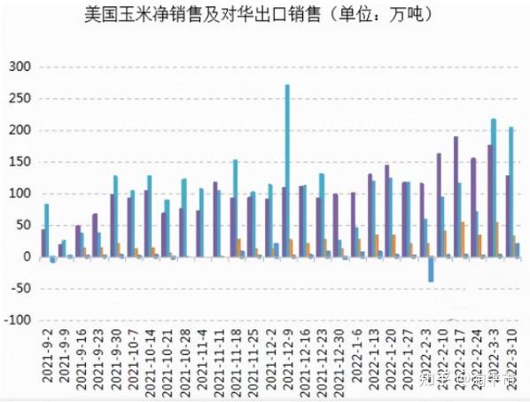 （2024年9月9日）今日玉米期货和美玉米最新价格查询