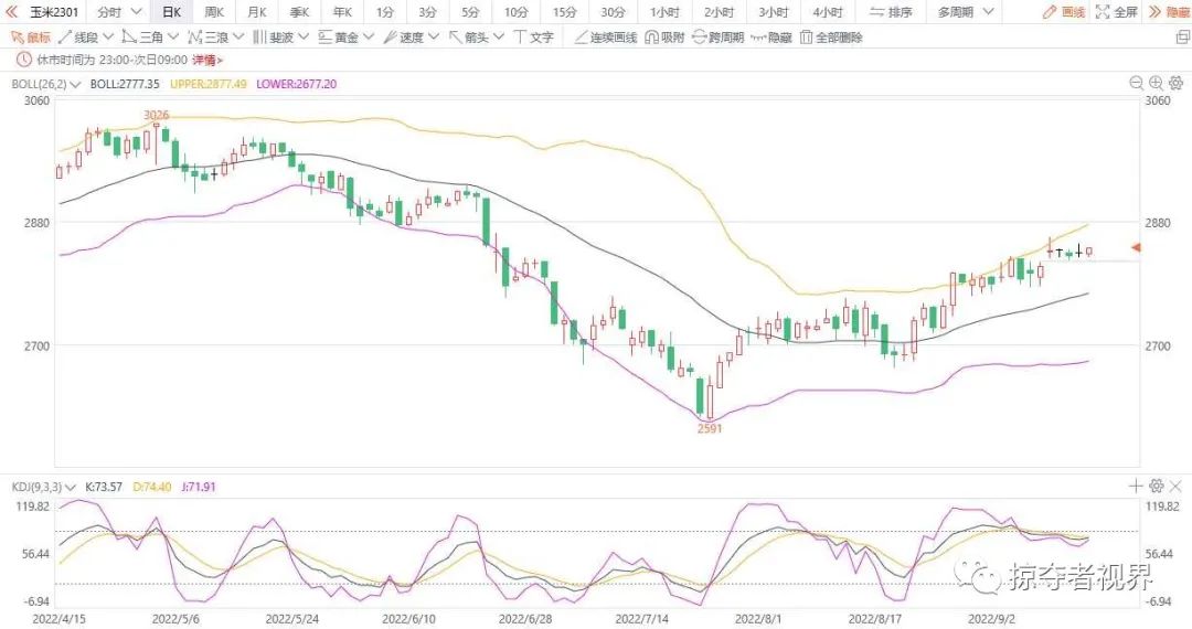 （2024年9月19日）今日玉米期货和美玉米最新价格查询