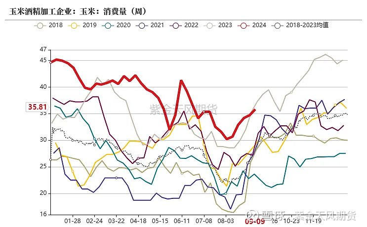 （2024年9月25日）今日玉米期货和美玉米最新价格查询