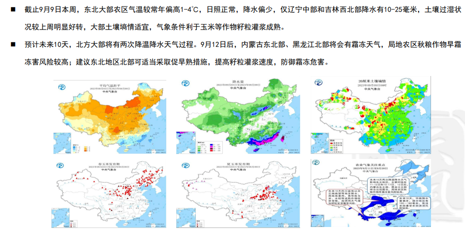 （2024年10月9日）今日美玉米期货最新价格行情查询