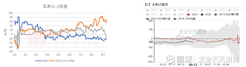 （2024年10月11日）今日玉米期货和美玉米最新价格查询