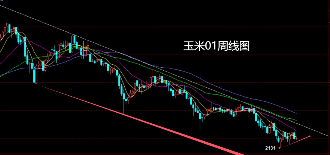 玉米：现货稳定 05多单谨慎持有