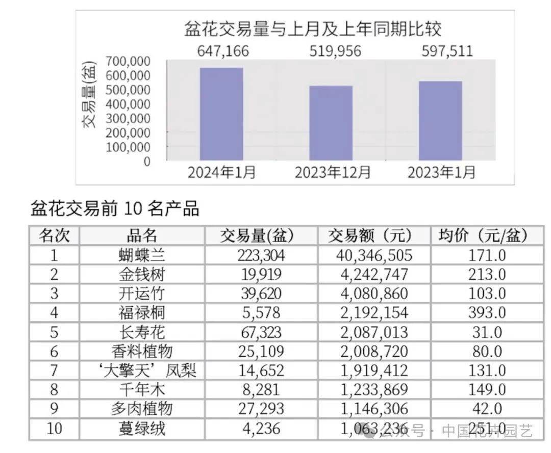 （2024年12月2日）今日美玉米期货最新价格行情查询