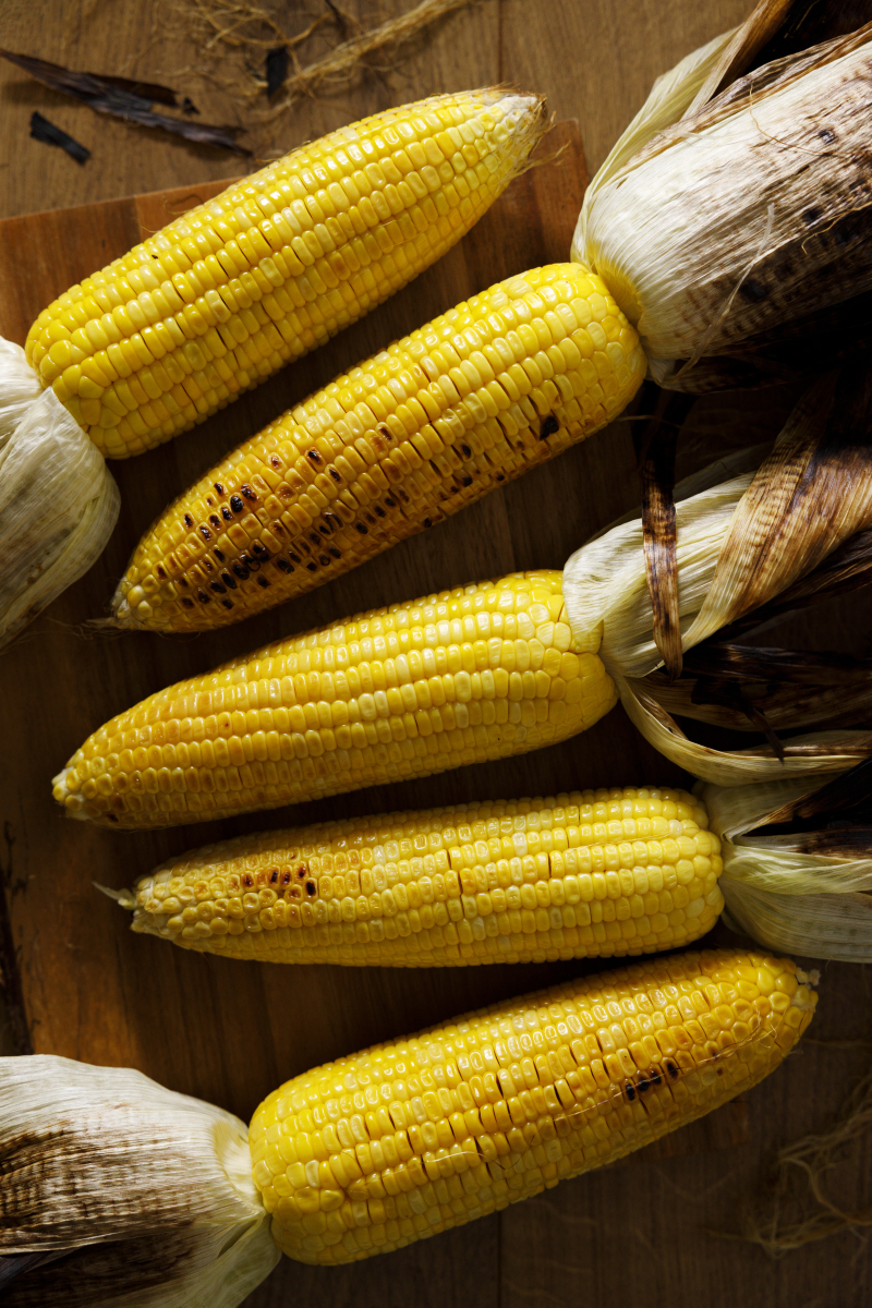 12月11日收盘玉米期货资金流入180.82万元