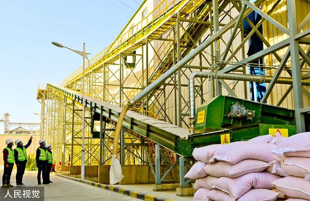 12月13日收盘玉米期货资金流入1650.73万元