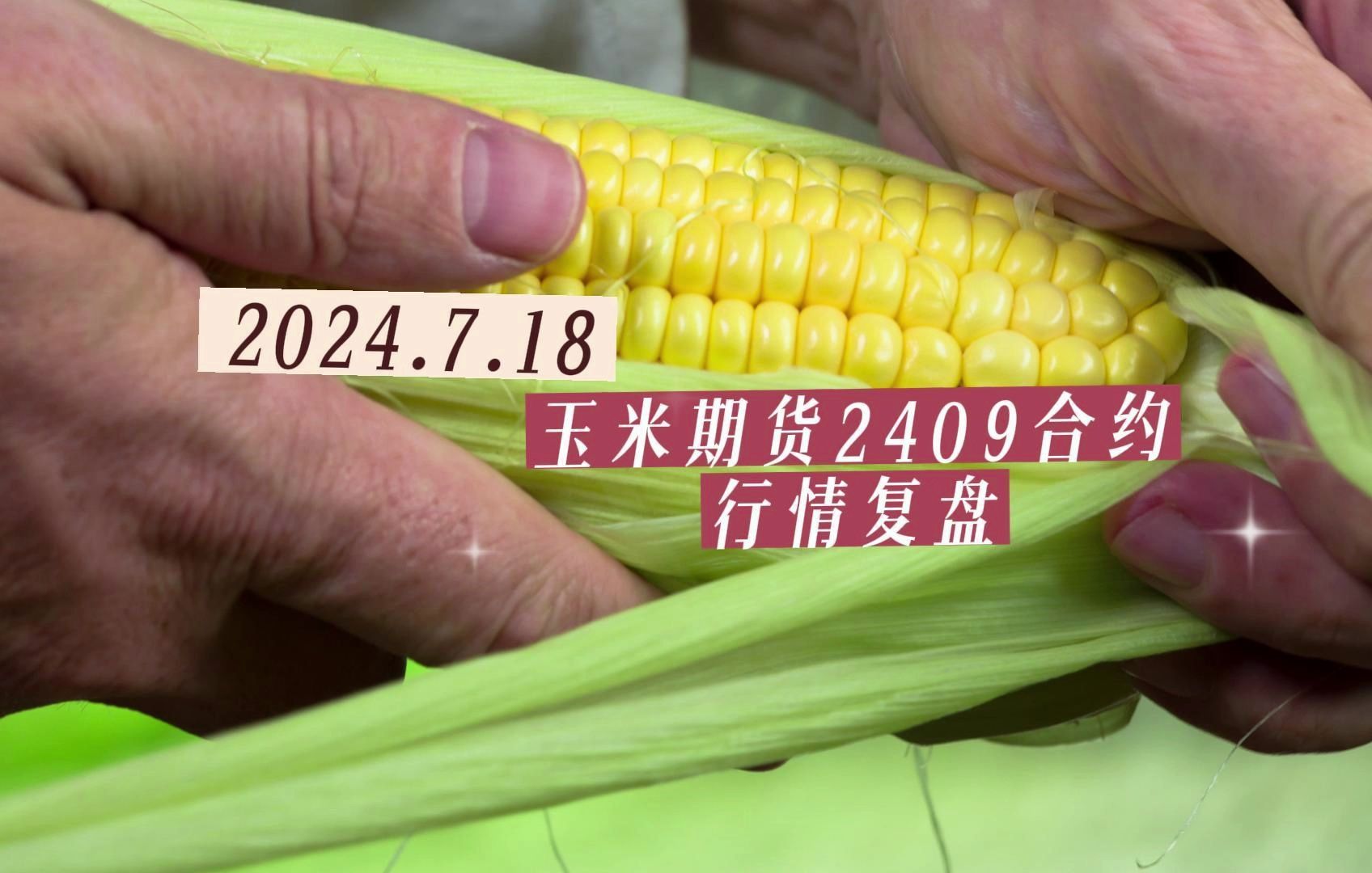 （2024年12月16日）今日玉米期货和美玉米最新价格查询