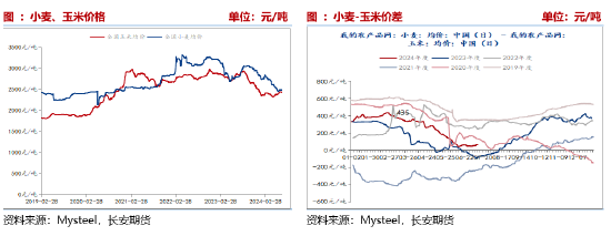 （2024年12月16日）今日玉米期货和美玉米最新价格查询