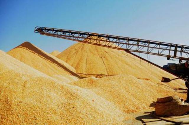 玉米:关注成本线支撑 玉米区间波动