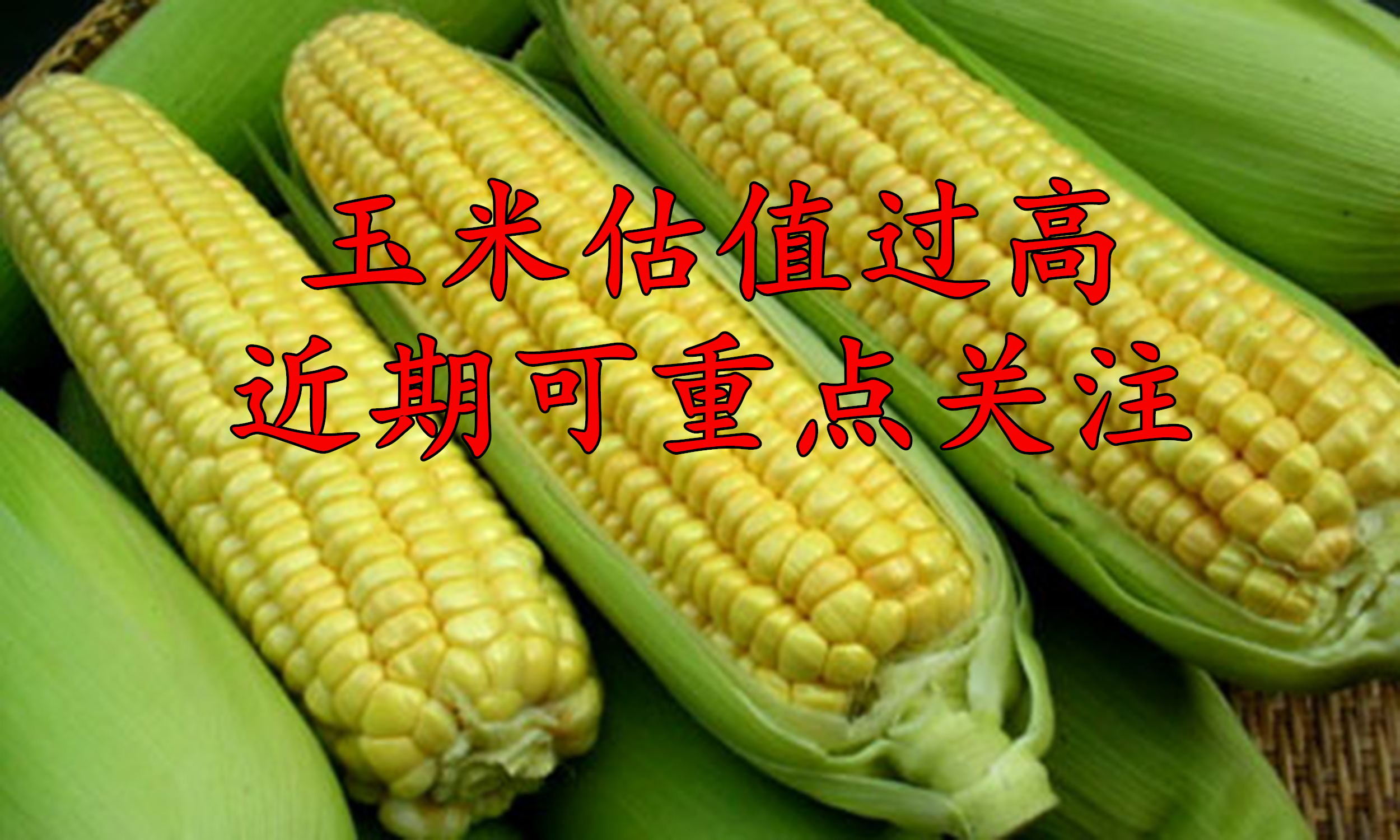 12月19日收盘玉米期货资金流入1965.75万元