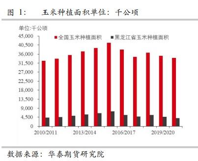 （2024年12月24日）今日玉米期货和美玉米最新价格查询