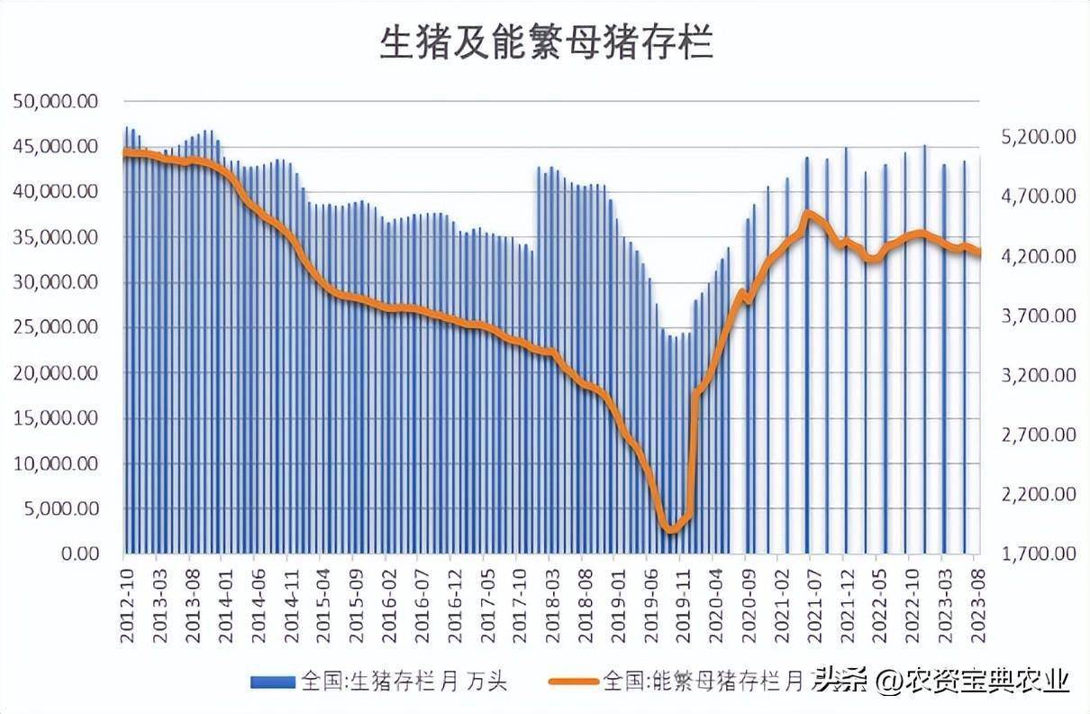 (2024年12月26日)今日玉米期货和美玉米最新价格查询