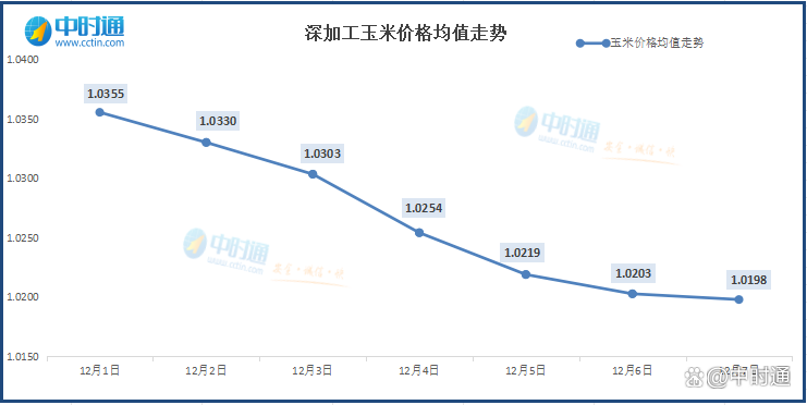 （2024年12月31日）今日玉米期货和美玉米最新价格查询