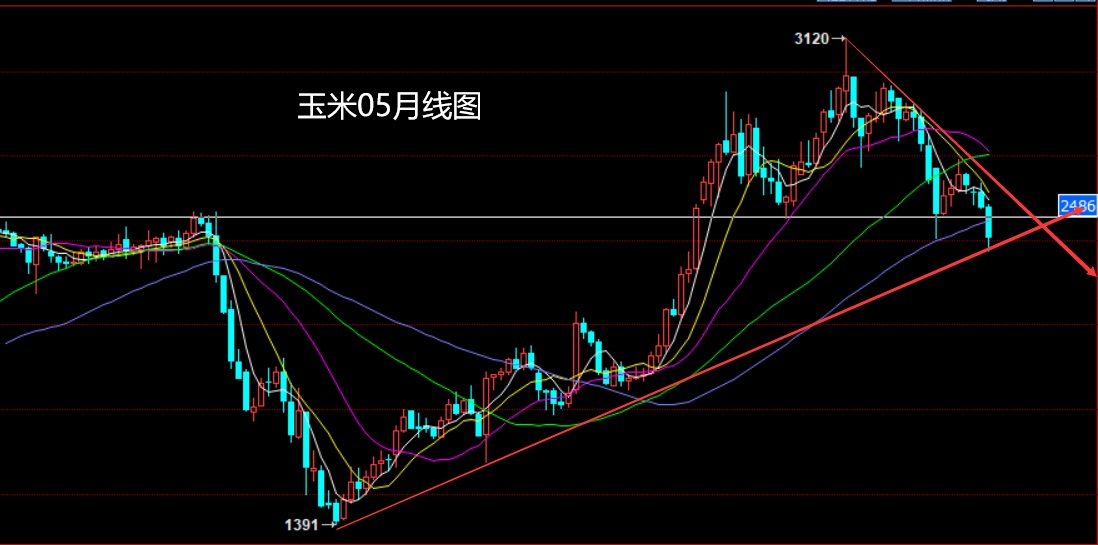 （2024年12月31日）今日玉米期货和美玉米最新价格查询