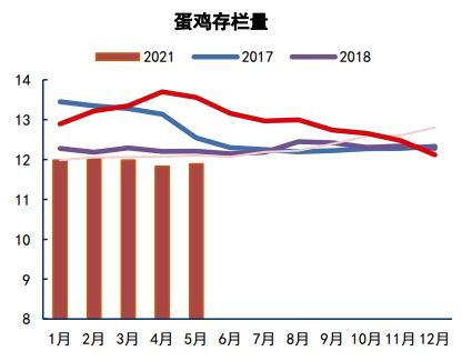 玉米：供应相对平衡 玉米震荡运行